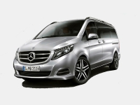 Mercedes Viano-Vito
